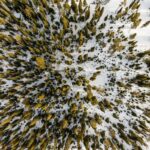 Big Sky MT 59716 - 8