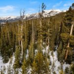 Big Sky MT 59716 - 3