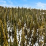 TBD White Butte Road