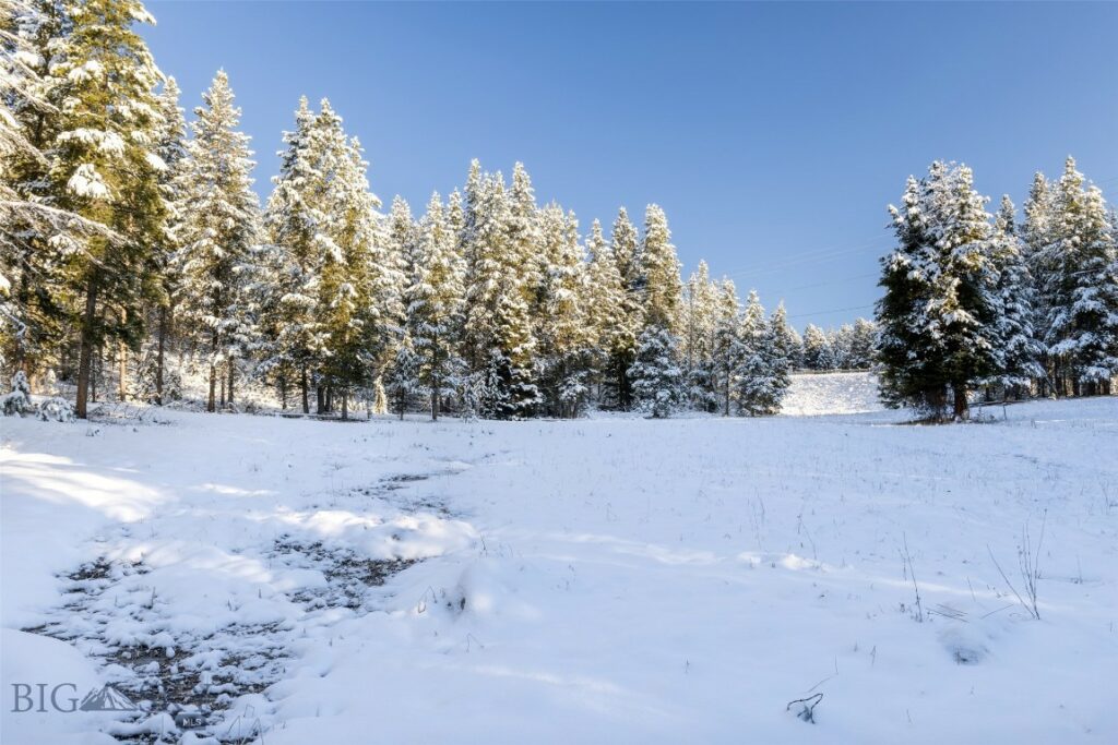 Big Sky MT 59716 - 6