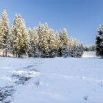 Big Sky MT 59716 - 6