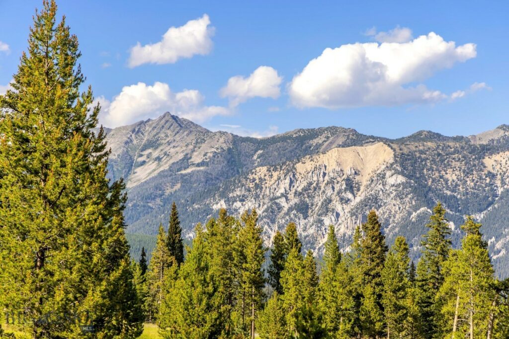 Lot 1 & 2 Wheatgrass Meadows