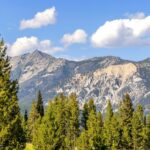 Lot 1 & 2 Wheatgrass Meadows