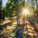 Big Sky MT 59716 - 19