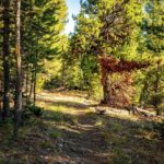 Lot 1 & 2 Wheatgrass Meadows