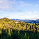 Lot 1 & 2 Wheatgrass Meadows