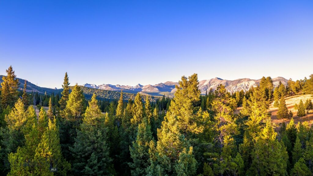 Big Sky MT 59716 - 25