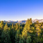 Big Sky MT 59716 - 25