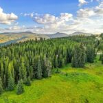 Lot 1 & 2 Wheatgrass Meadows