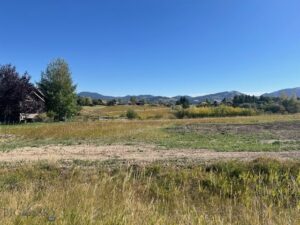 Lot 1 Dulohery Lane, Bozeman MT 59715