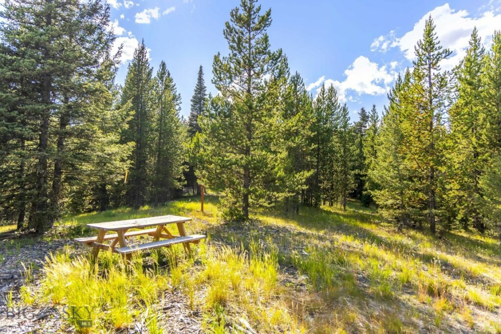 Big Sky MT 59716 - 6