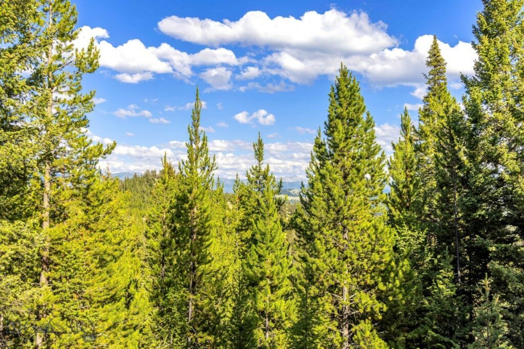 Big Sky MT 59716 - 7