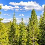 Big Sky MT 59716 - 7