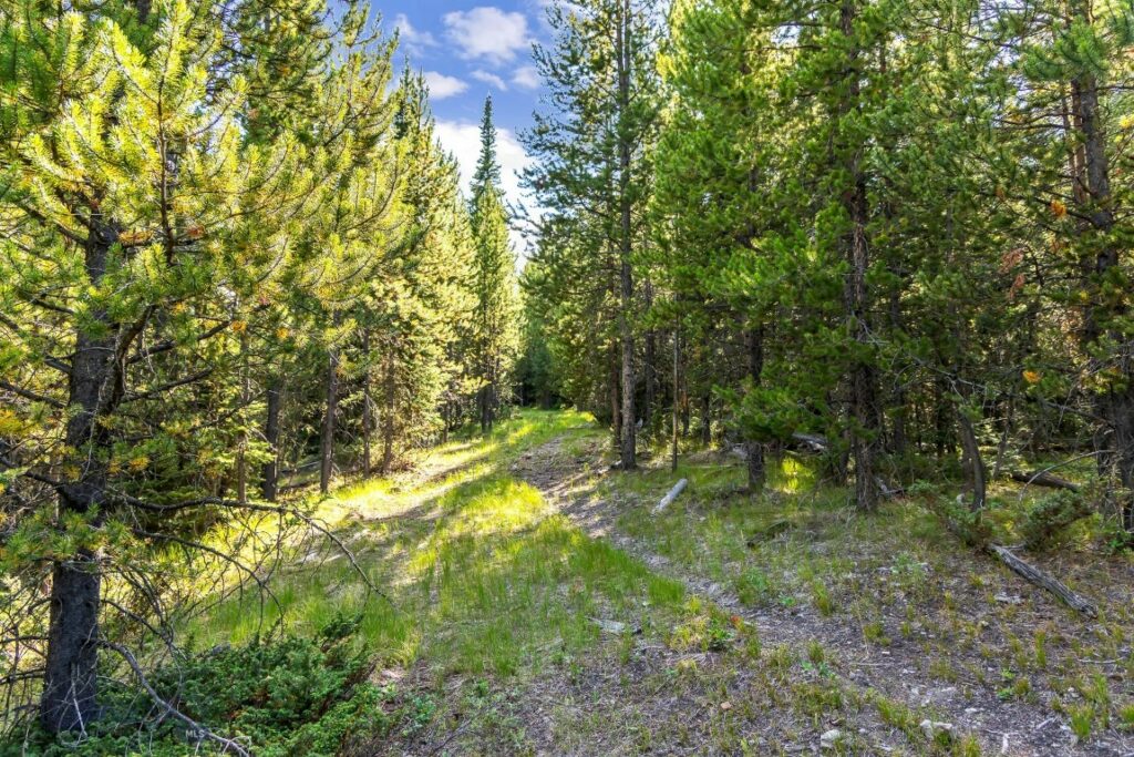 Lot 1 Wheatgrass Meadows