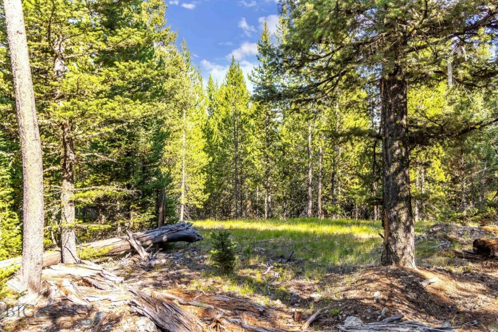 Big Sky MT 59716 - 9