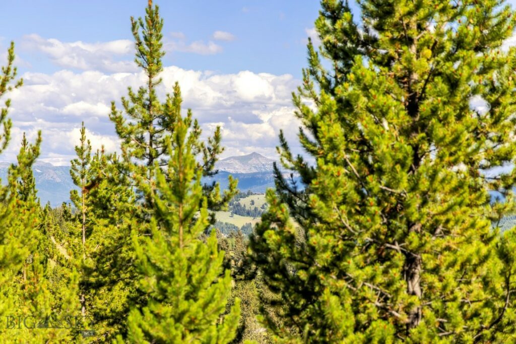 Big Sky MT 59716 - 10