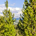 Big Sky MT 59716 - 10