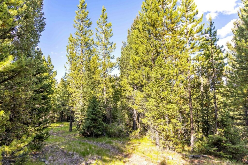 Big Sky MT 59716 - 11