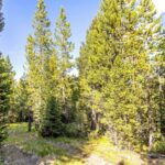 Big Sky MT 59716 - 11
