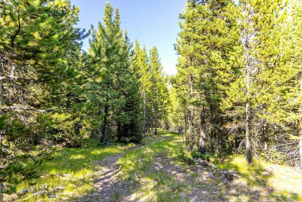 Lot 1 Wheatgrass Meadows