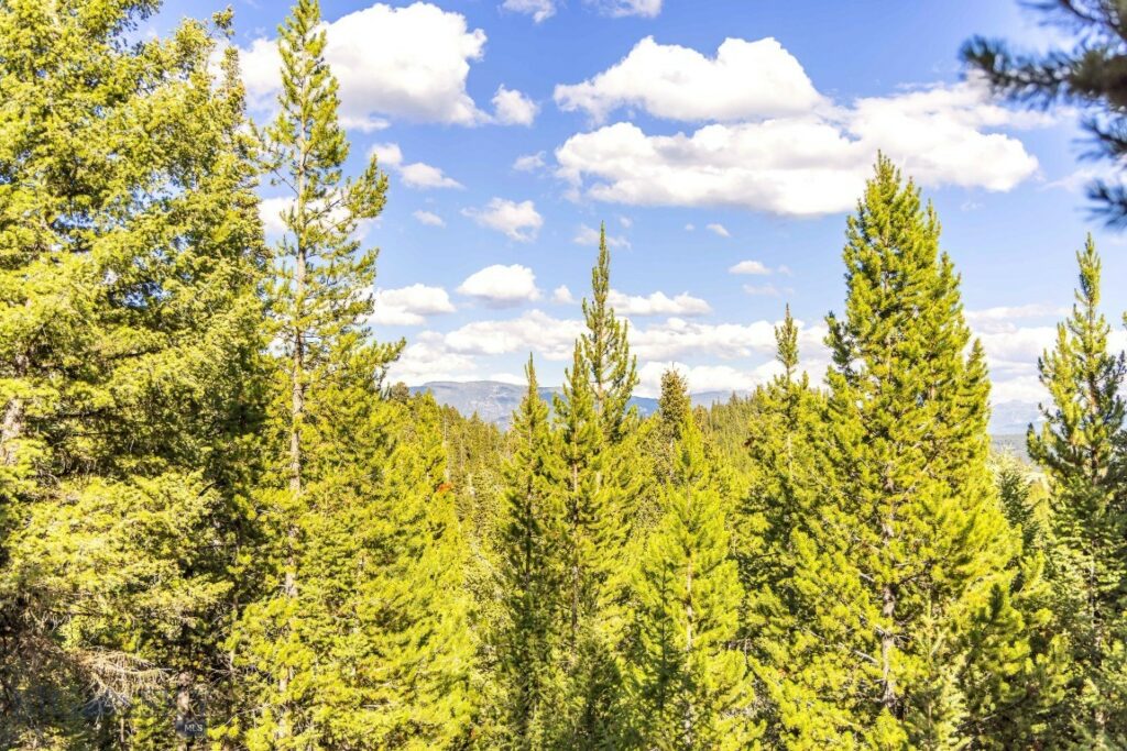 Big Sky MT 59716 - 4