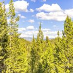 Big Sky MT 59716 - 4