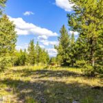 Big Sky MT 59716 - 5