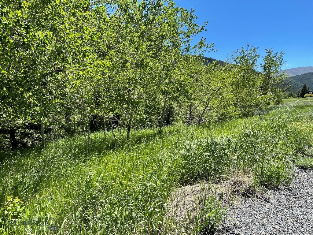 Lot 10 Boulder River