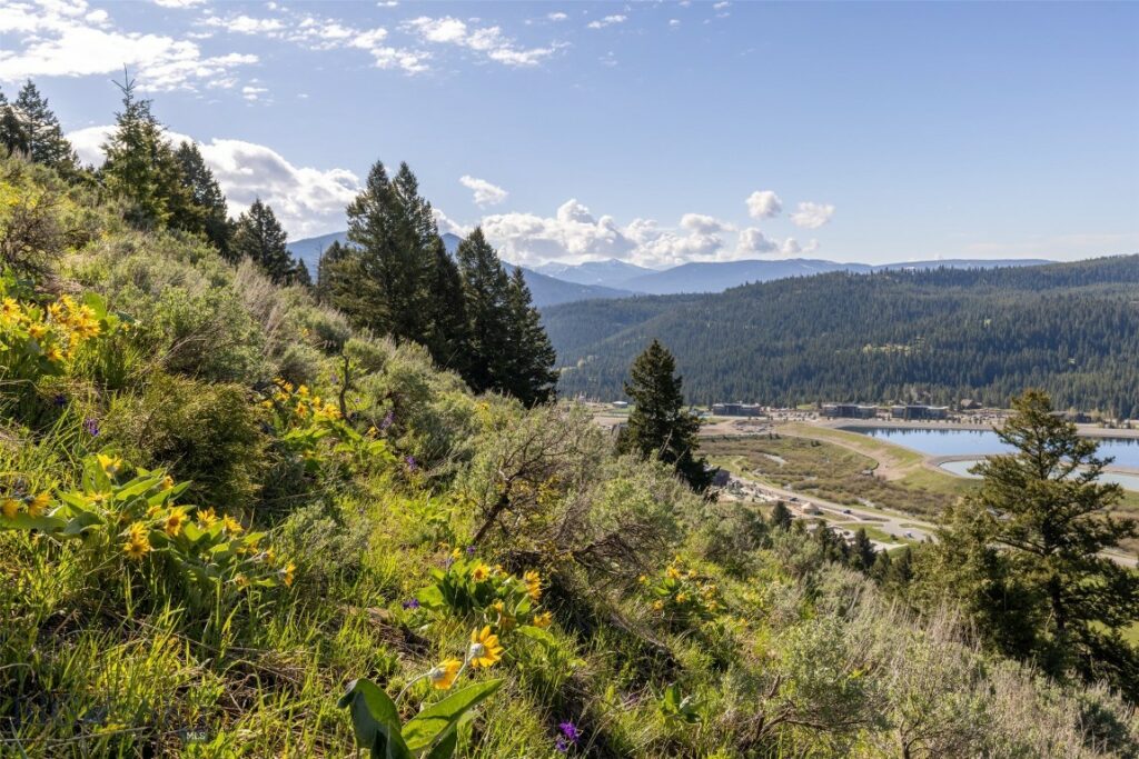 Big Sky MT 59716 - 1