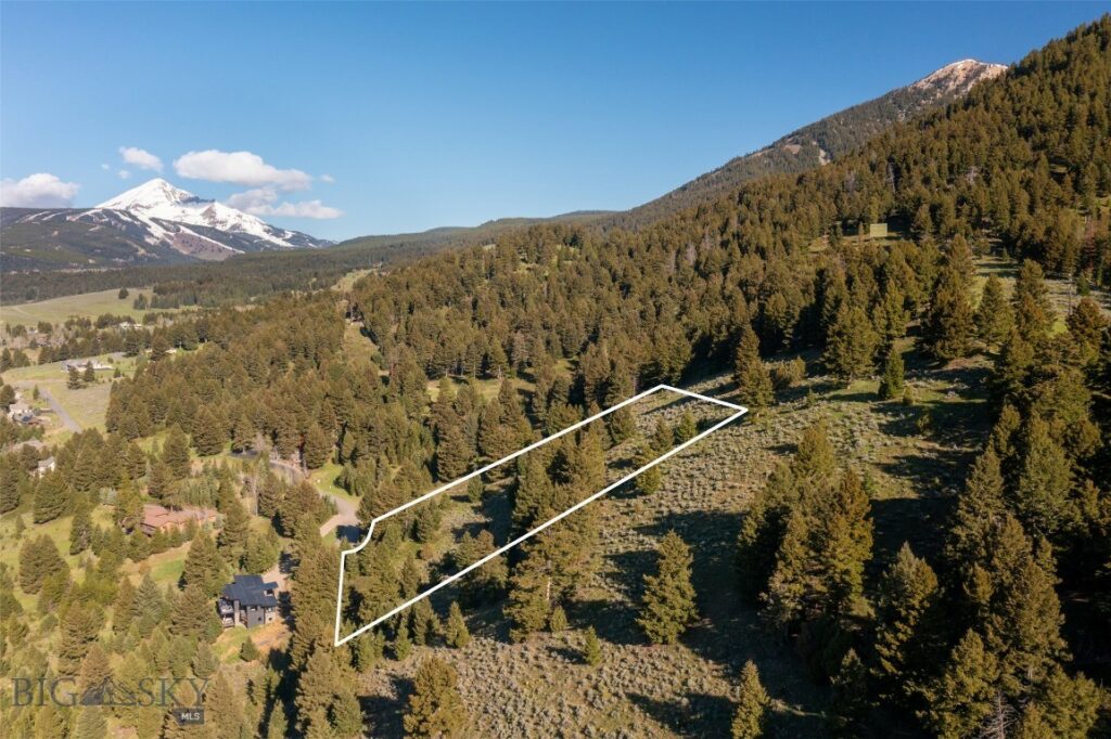 Lot 10 Two Gun White Calf