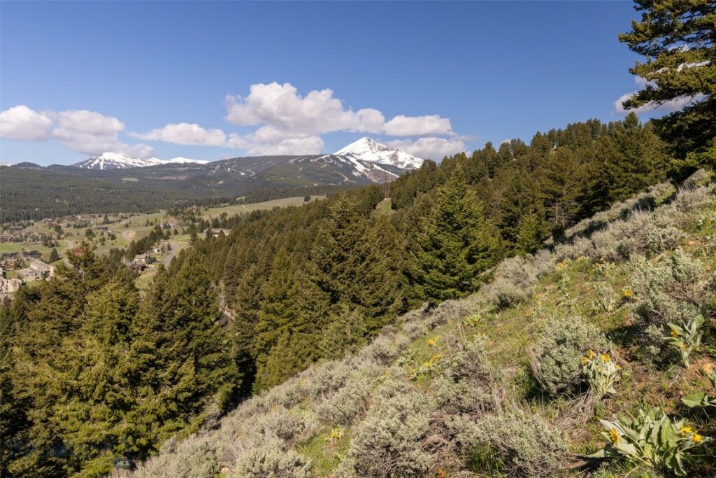 Lot 10 Two Gun White Calf