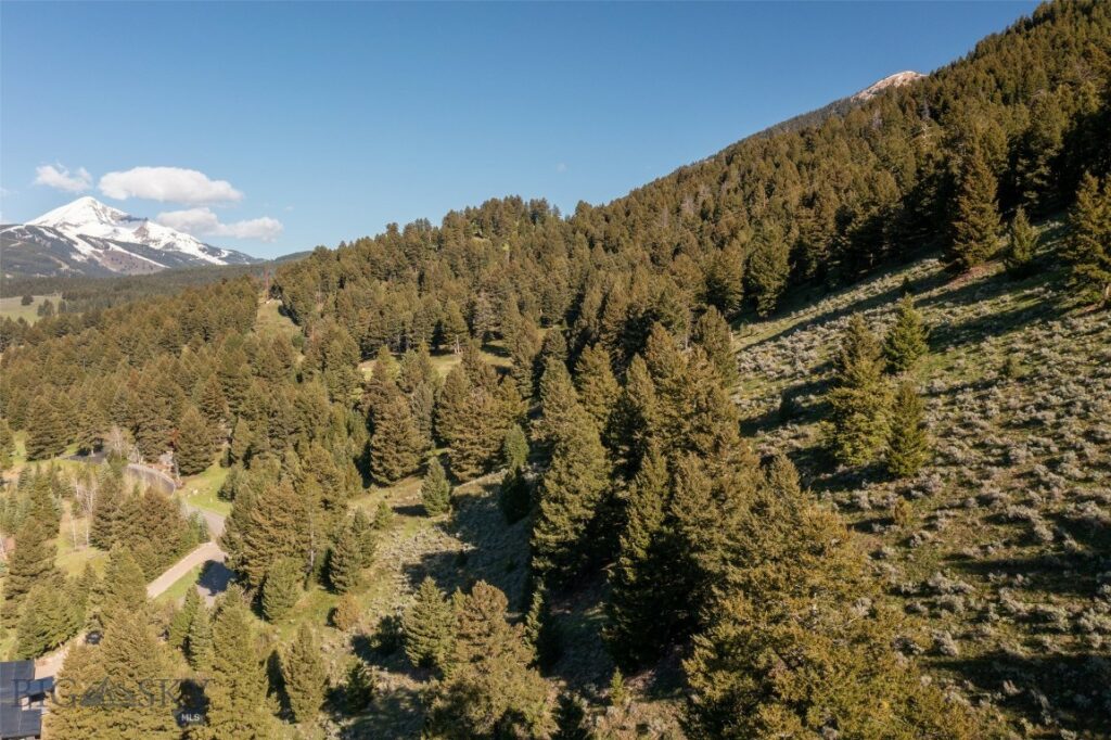 Lot 10 Two Gun White Calf