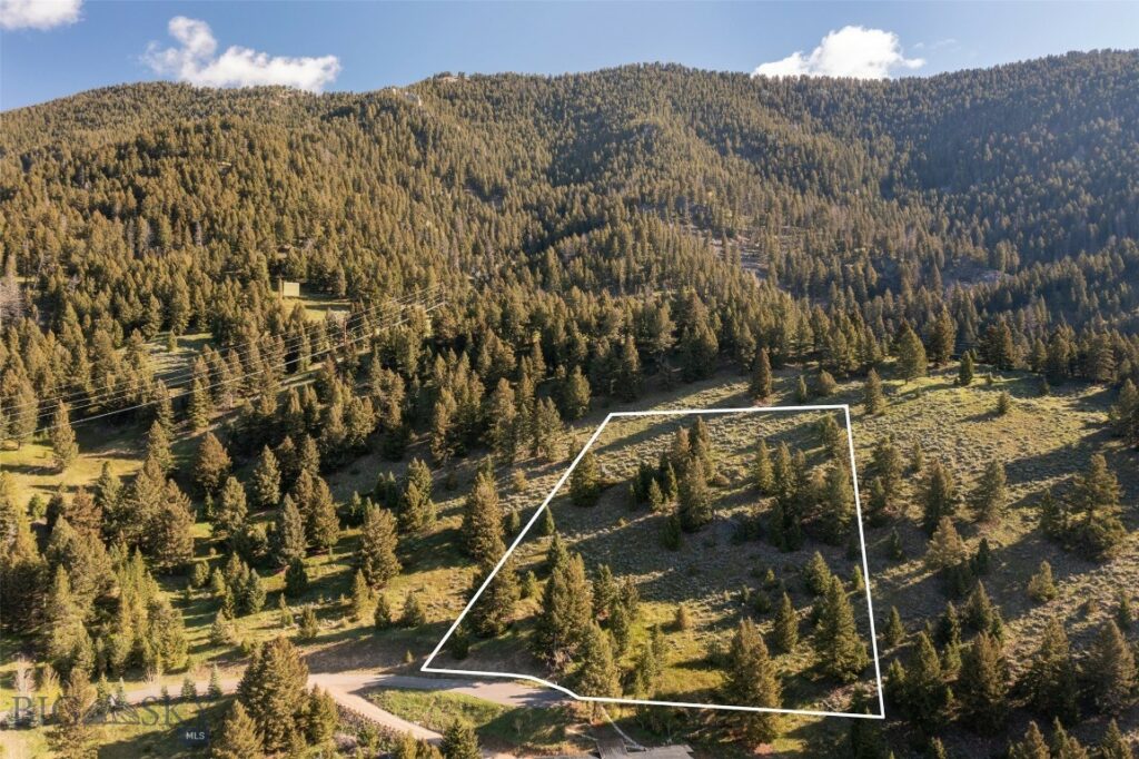 Lot 10 Two Gun White Calf