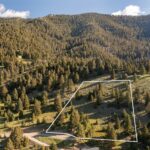 Lot 10 Two Gun White Calf