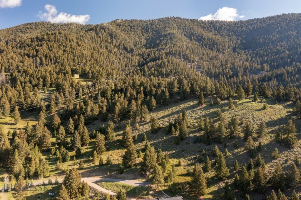 Big Sky MT 59716 - 8