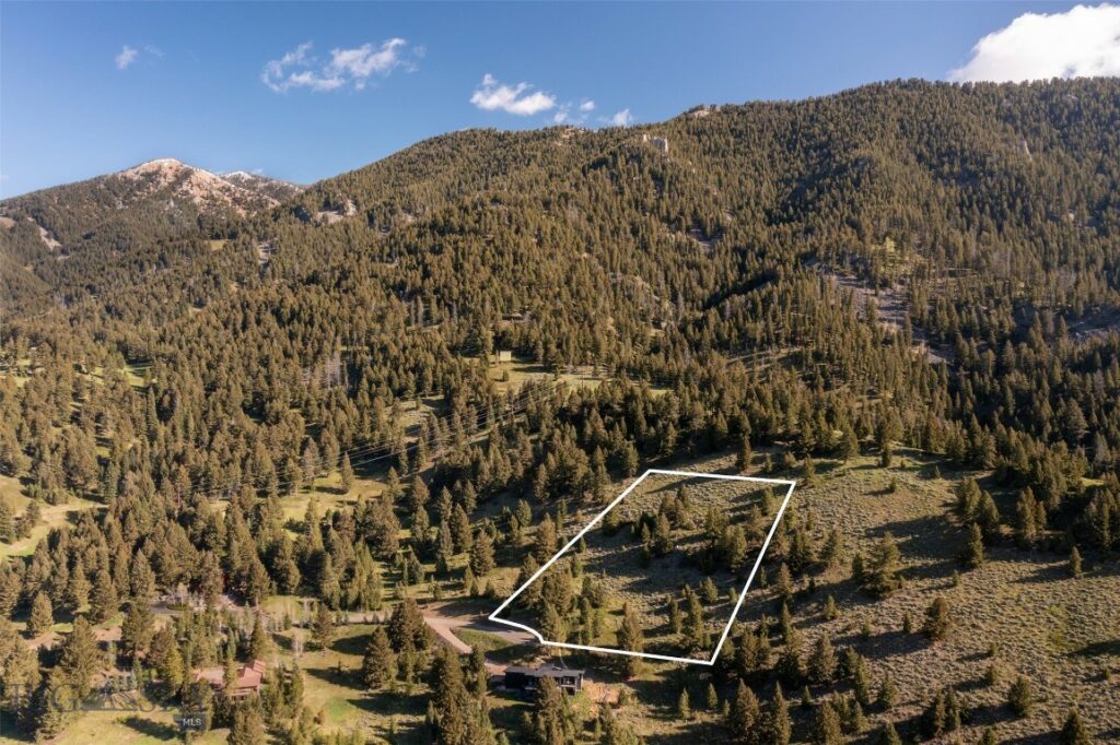 Lot 10 Two Gun White Calf