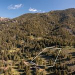 Lot 10 Two Gun White Calf