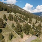 Lot 10 Two Gun White Calf