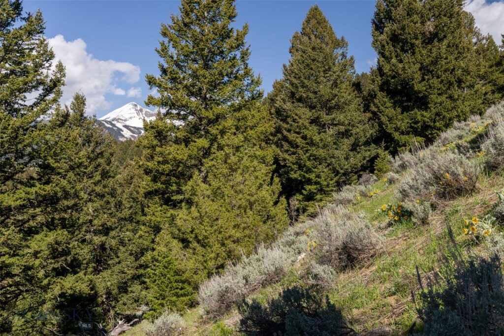 Big Sky MT 59716 - 2