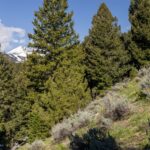 Big Sky MT 59716 - 2