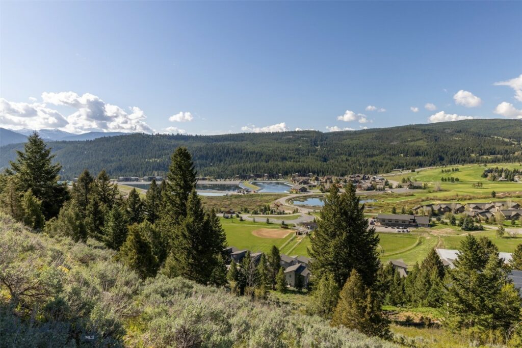 Lot 10 Two Gun White Calf