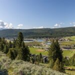 Lot 10 Two Gun White Calf