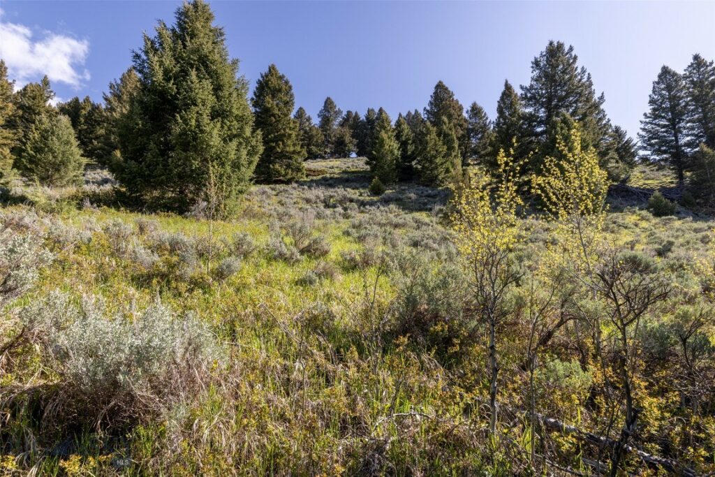 Big Sky MT 59716 - 3