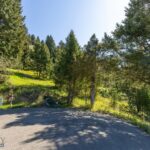 Lot 10 Two Gun White Calf