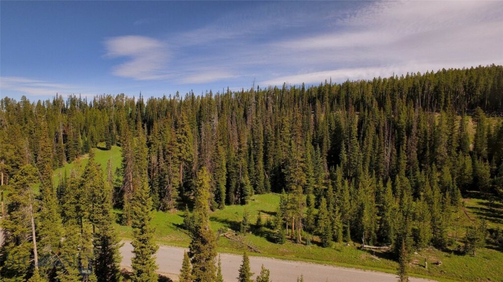 Lot 108A BEEHIVE BASIN Road