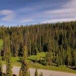 Lot 108A BEEHIVE BASIN Road
