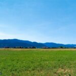 Bozeman MT 59718 - 4