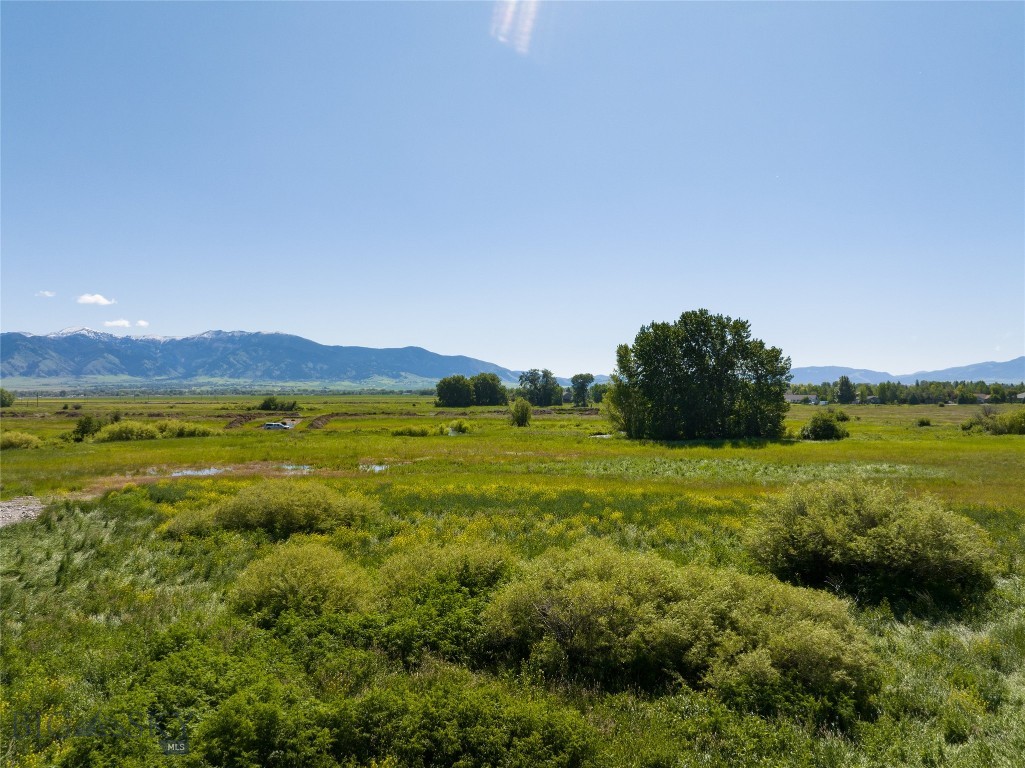 Bozeman MT 59718 - 2