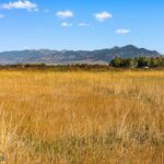 Bozeman MT 59718 - 9