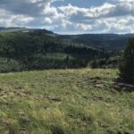 Lot 138 Pinecone Trail